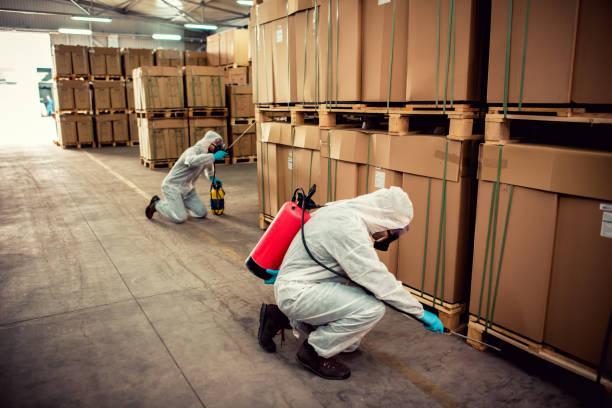 Best Pest Inspection Near Me  in Berea, OH