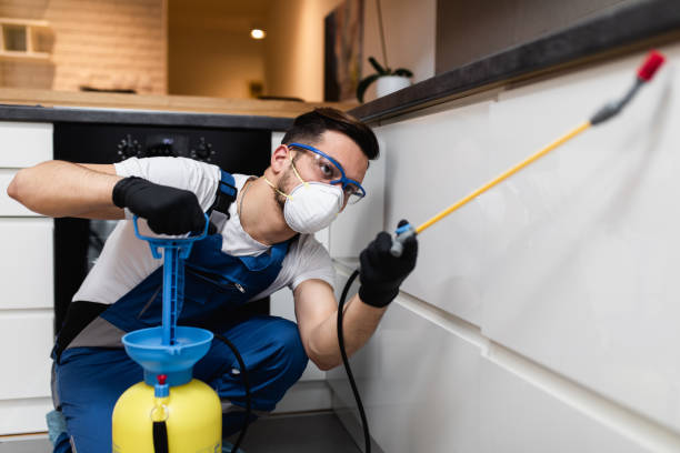 Best Local Pest Control Services  in Berea, OH