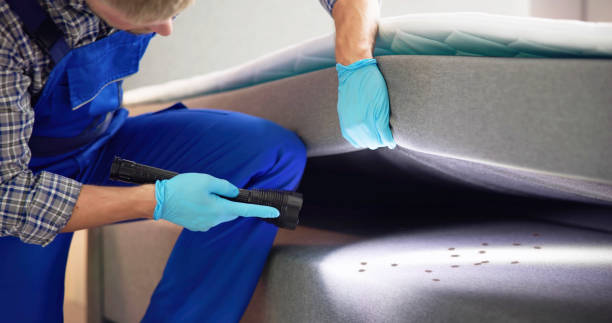 Best Affordable Pest Control Services  in Berea, OH
