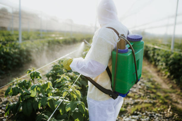 Pest Control for Restaurants in Berea, OH